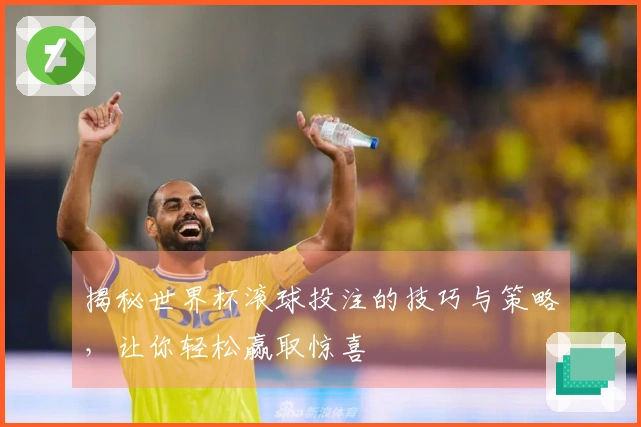 揭秘世界杯滚球投注的技巧与策略，让你轻松赢取惊喜