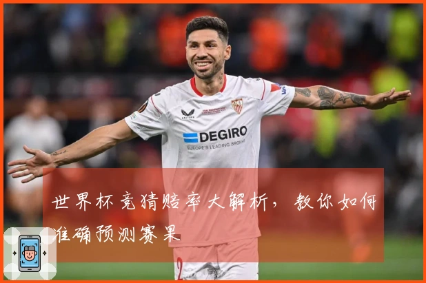 世界杯竞猜赔率大解析，教你如何准确预测赛果