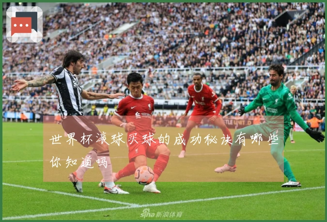 世界杯滚球买球的成功秘诀有哪些你知道吗