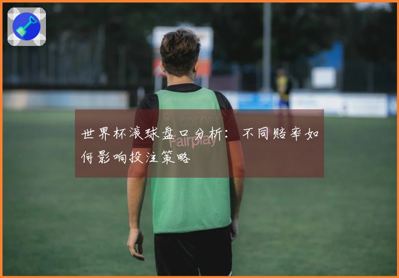 世界杯滚球盘口分析：不同赔率如何影响投注策略