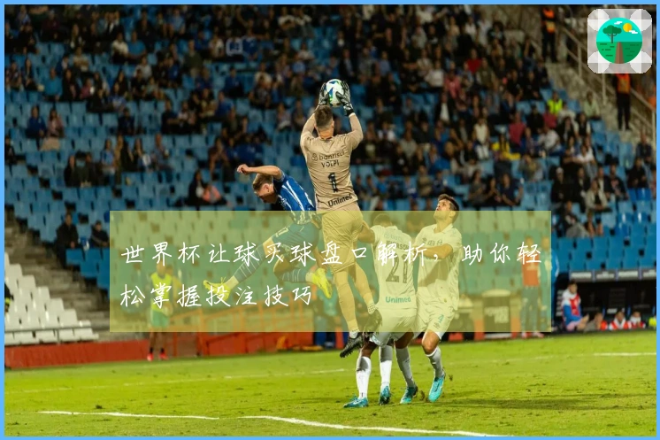 世界杯让球买球盘口解析，助你轻松掌握投注技巧