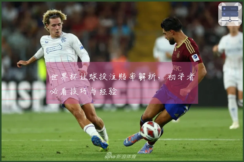 世界杯让球投注赔率解析，初学者必看技巧与经验