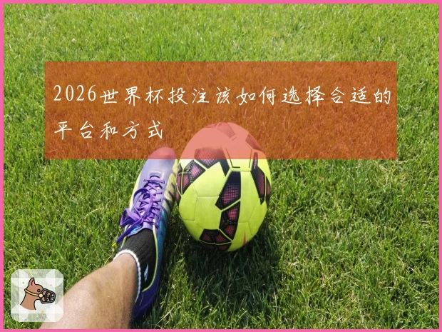 2026世界杯投注该如何选择合适的平台和方式