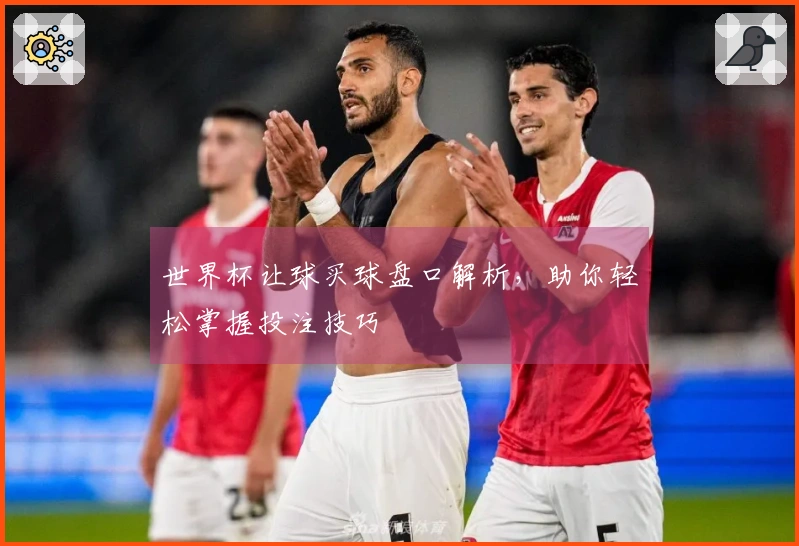 世界杯让球买球盘口解析，助你轻松掌握投注技巧