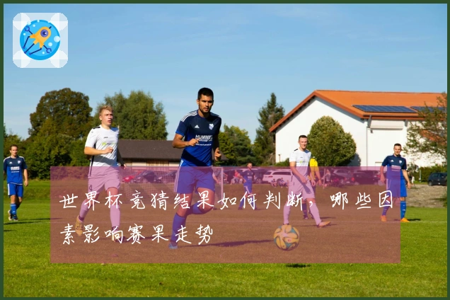 世界杯竞猜结果如何判断，哪些因素影响赛果走势