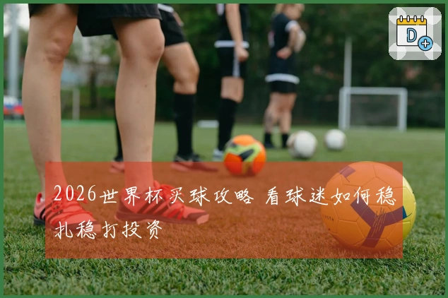2026世界杯买球攻略 看球迷如何稳扎稳打投资